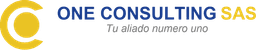 One Consulting SAS